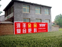 商南如何让墙体广告展现最大化效果