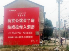 商南墙体广告在乡镇、农村市场的媒体优势