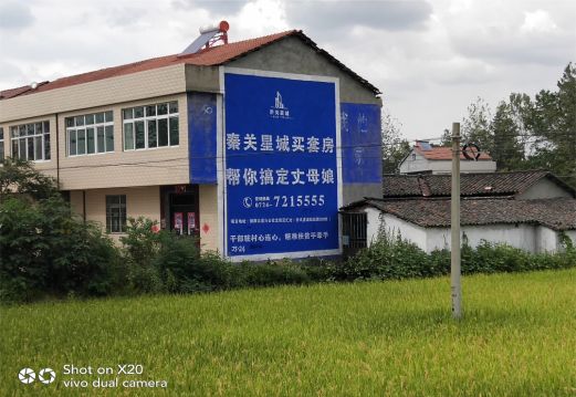 商南决定墙体广告价格的因素有哪些?