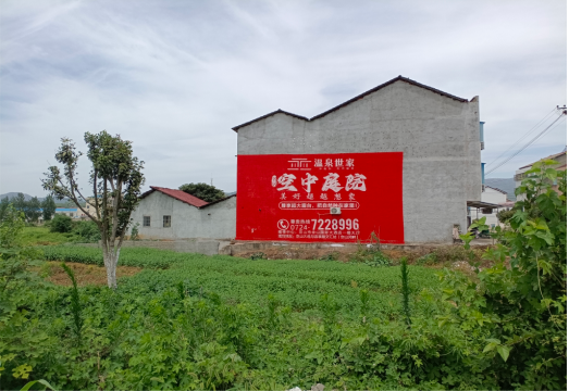 商南做墙体广告的意义
