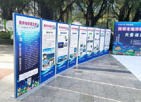 商南KT板的种类和知识。